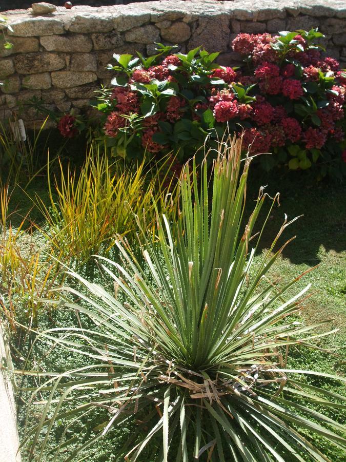 La Sirene Endormie Bed & Breakfast Penmarcʼh Dış mekan fotoğraf